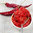 Ajika rote Würzpaste წითელი აჯიკა  210 g